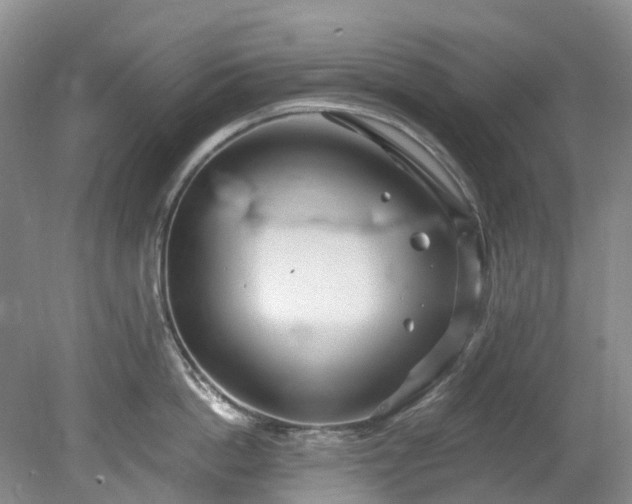 X0000078280862200611101132