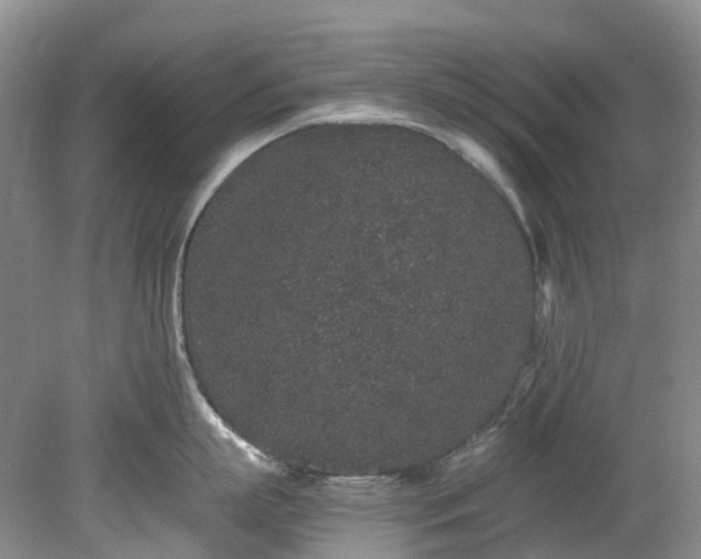 X0000078280863200611101132