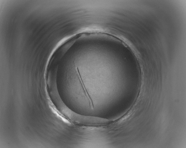 X0000078280864200611101132