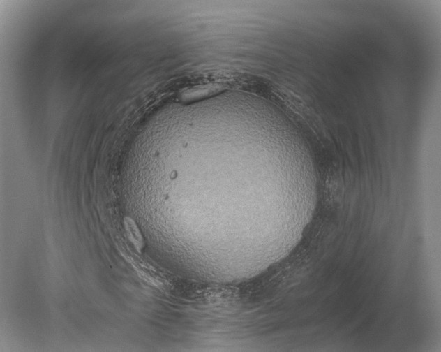 X0000078280865200611101131