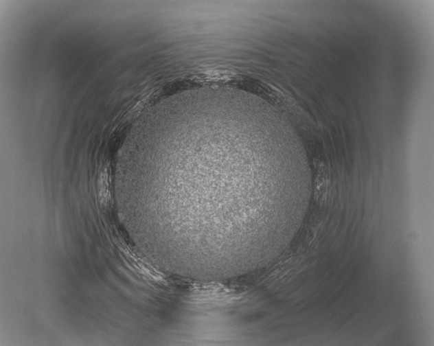 X0000078280866200611101131