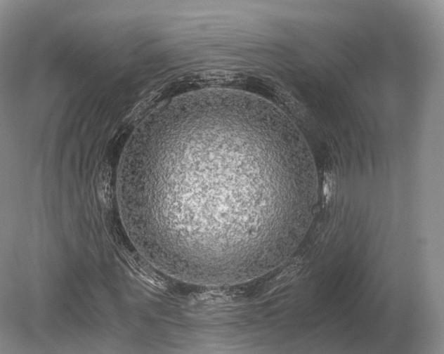 X0000078280867200611101131