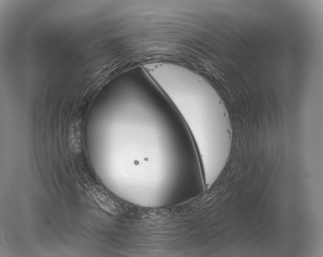 X0000078280868200611101131