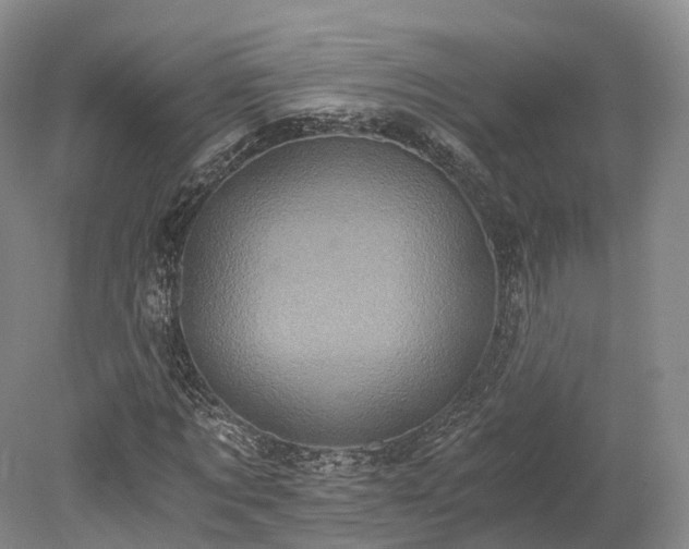 X0000078280869200611101131