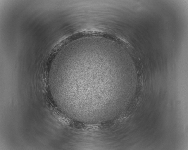 X0000078280870200611101131