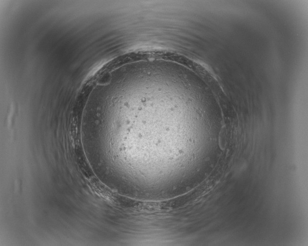 X0000078280871200611101131