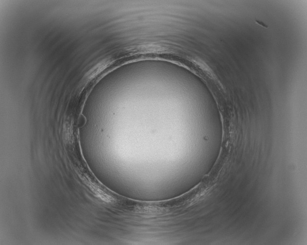 X0000078280873200611101131