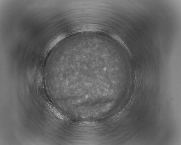 X0000078280874200611101131