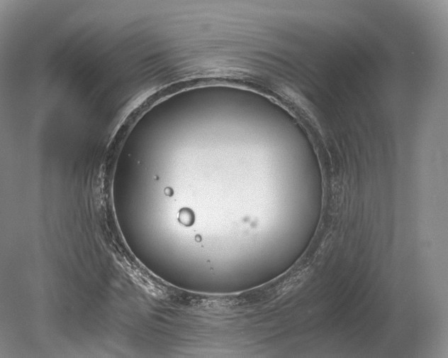 X0000078280875200611101131