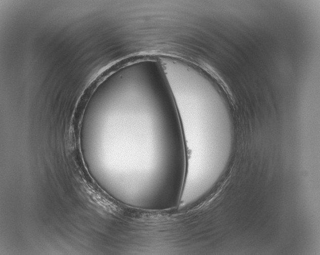 X0000078280876200611101131