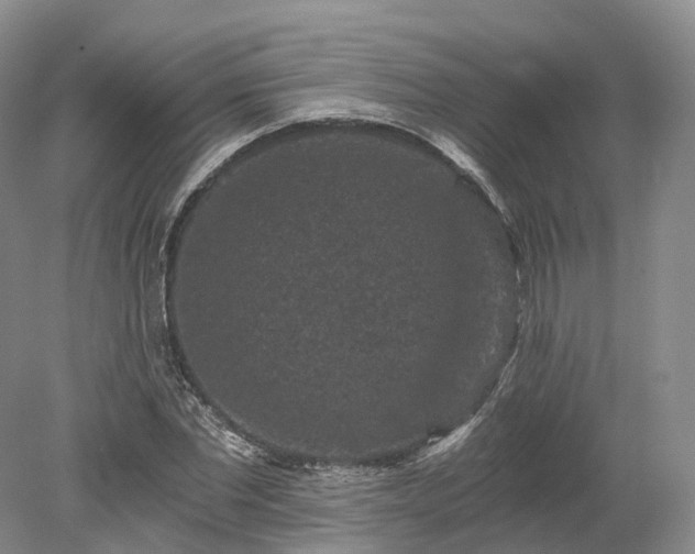 X0000078280877200611101131