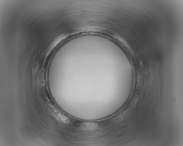 X0000078280878200611101131