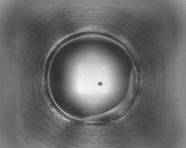 X0000078280880200611101131