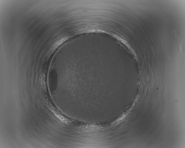 X0000078280881200611101131