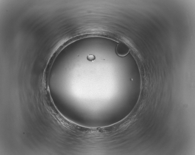 X0000078280883200611101131