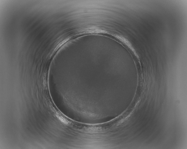 X0000078280889200611101130