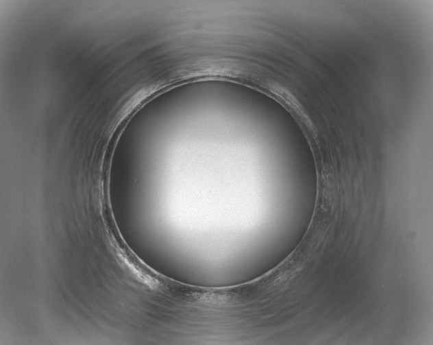 X0000078280890200611101130