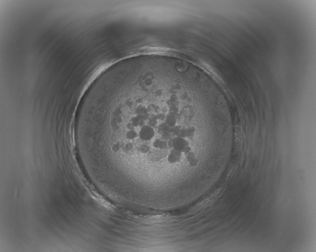 X0000078280891200611101130