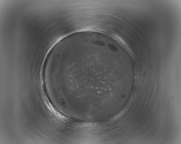 X0000078280892200611101130