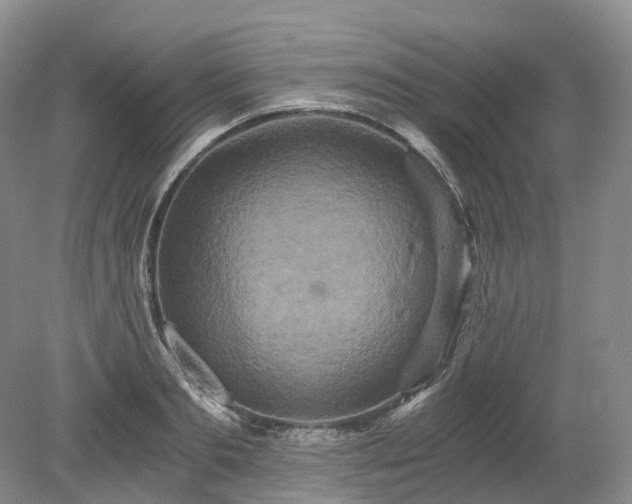 X0000078280893200611101130