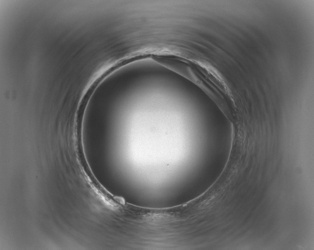 X0000078280894200611101130