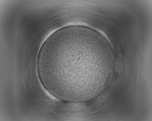 X0000078280895200611101130