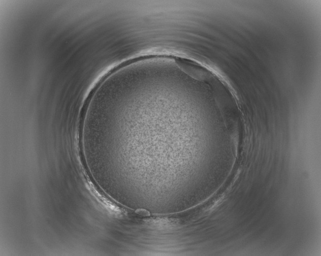 X0000078280896200611101130