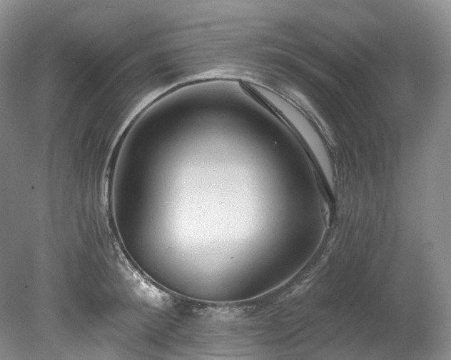 X0000078280900200611101130