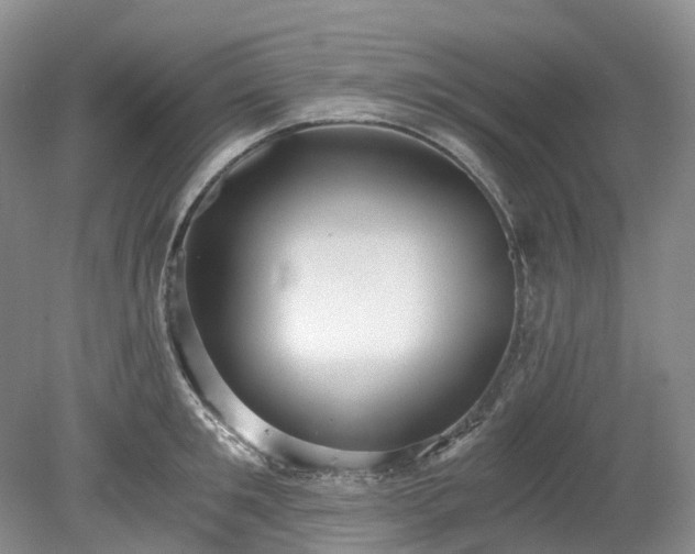 X0000078280901200611101130