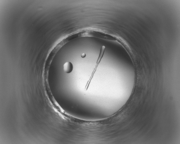 X0000078280902200611101130