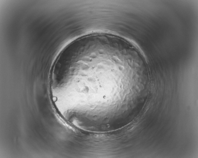 X0000078280903200611101130