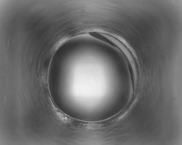 X0000078280905200611101130