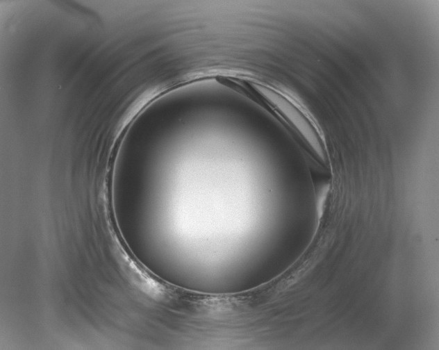 X0000078280906200611101130