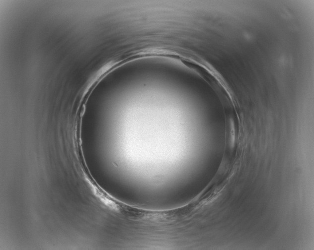 X0000078280909200611101130