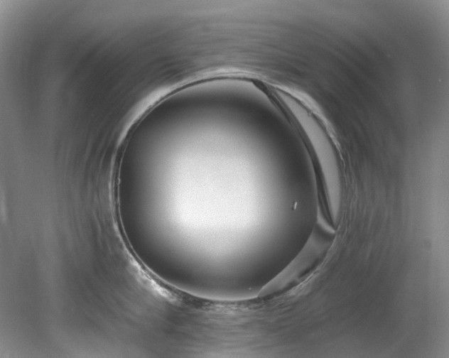 X0000078280910200611101130