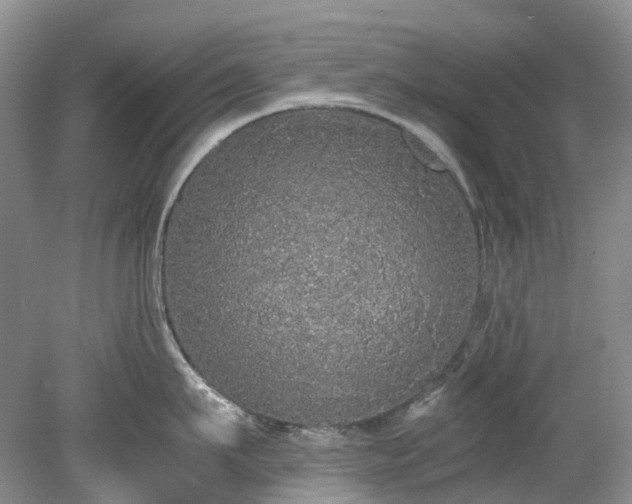 X0000078280911200611101130