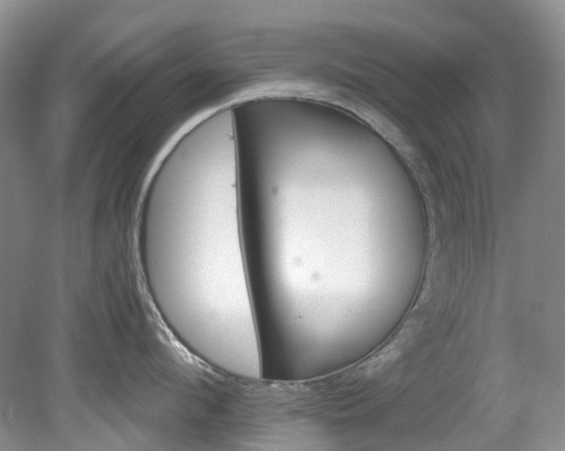 X0000078280912200611101130