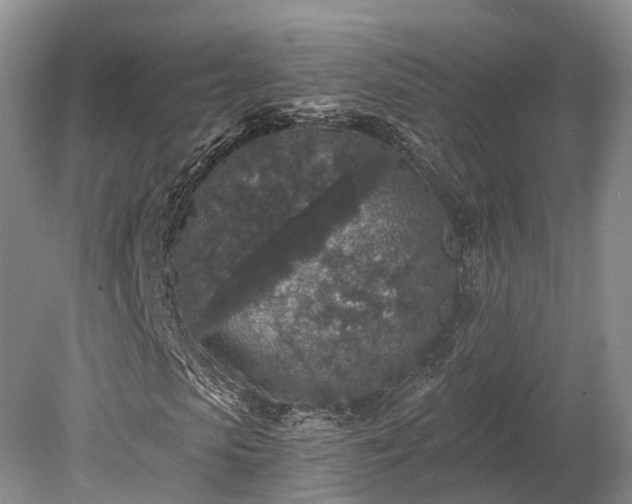 X0000078280913200611101129