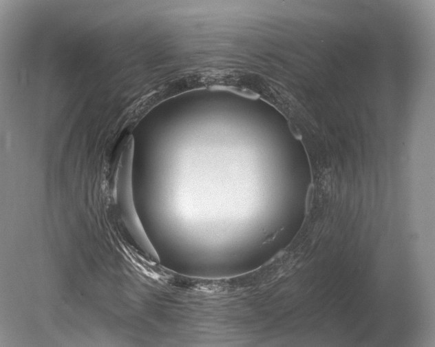 X0000078280914200611101129