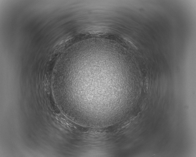 X0000078280917200611101129