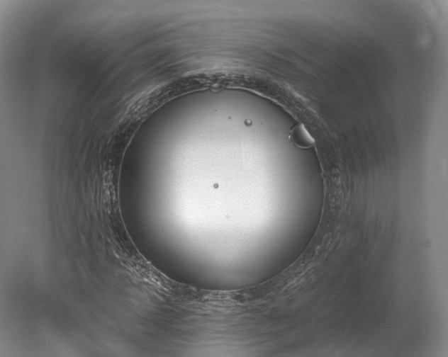 X0000078280918200611101129