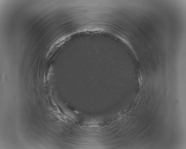 X0000078280920200611101129