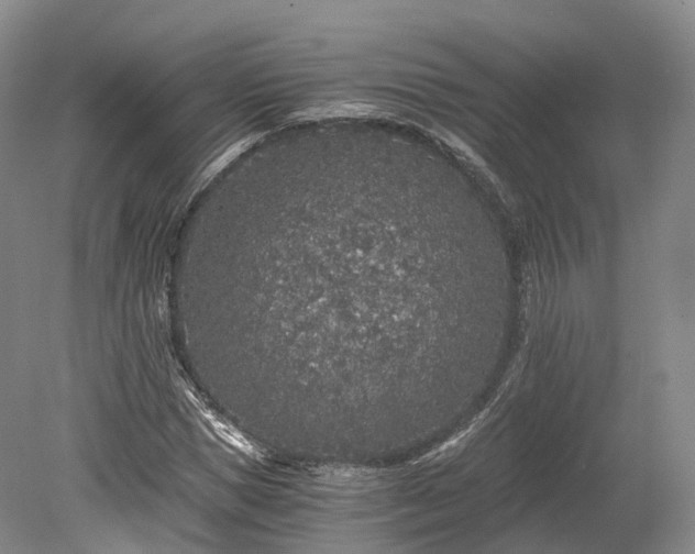 X0000078280921200611101129