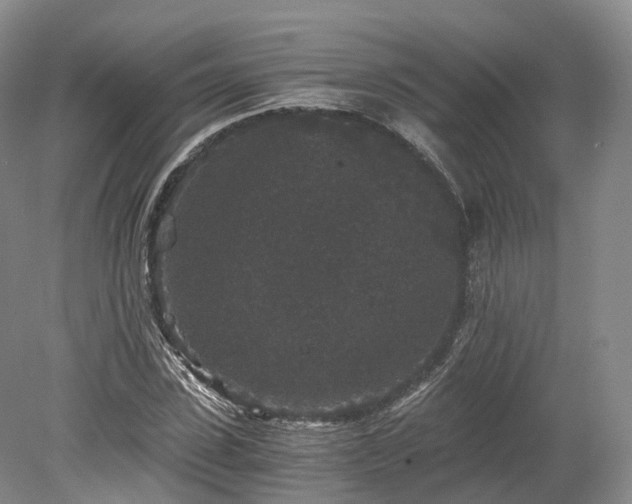 X0000078280923200611101129