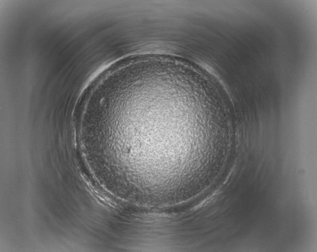 X0000078280925200611101129