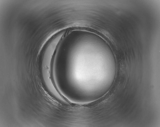 X0000078280926200611101129