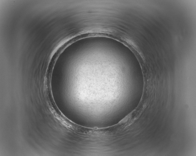 X0000078280928200611101130