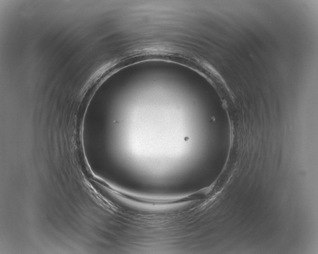 X0000078280930200611101130