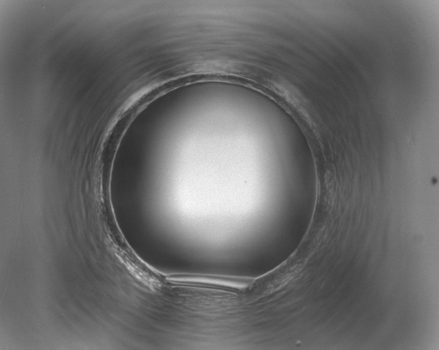 X0000078280931200611101130