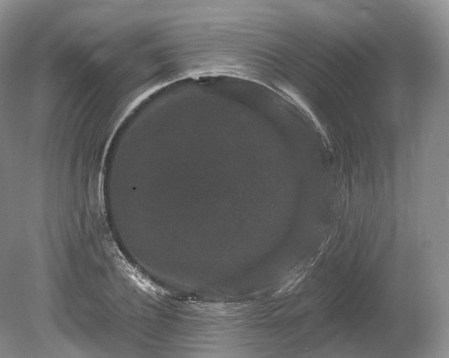 X0000078280932200611101130